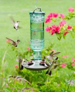 Avant Garden Antique Bottle Hummingbird Feeder 8108 2  