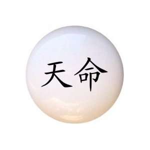  Destiny Chinese Lettering Symbol Drawer Pull Knob: Home 