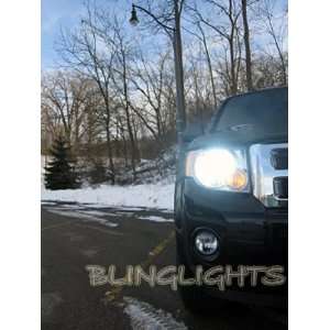   Bright Light Bulbs for Headlamps Headlights Head Lamps: Camera & Photo