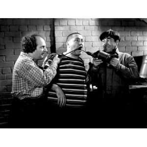 The Three Stooges, Dizzy Pilots, Larry Fine, Curly Howard, Moe Howard 