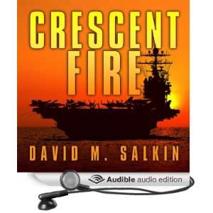   Fire (Audible Audio Edition) David M. Salkin, D. C. Goode Books