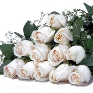  One Dozen Long Stemmed Premium White Roses Kitchen 