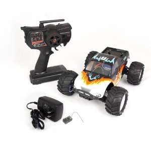  9020 1/16 Scale 4WD Brushless Electric Truck (RTR) Toys & Games
