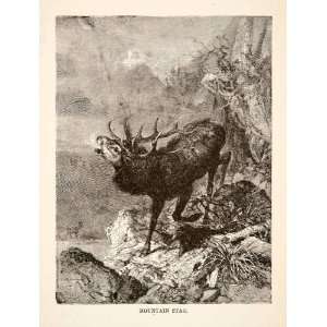 1881 Wood Engraving Male Deer Stag Wildlife Landscape Switzerland 