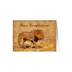  Happy Birthday italian language greeting card, lion in 