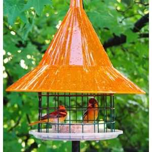  Arundale The Sky Cafe Oriole Feeder Patio, Lawn & Garden