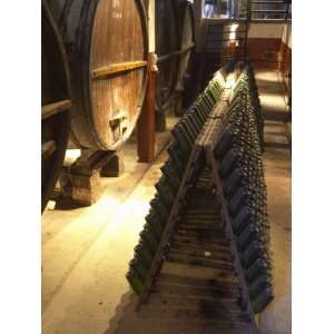  Oak Aging Vats and Pupitres for Fermenting Sparkling Wine 