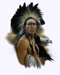    Native American Indian Bald Eagle Wild Animal Longsleeve T Shirt