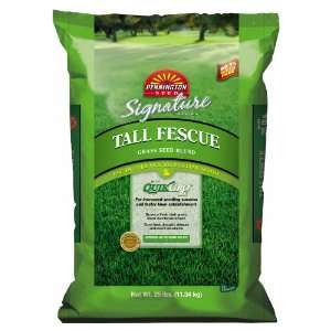   Pennington Tall Fescue Blend Grass Seed 118761: Patio, Lawn & Garden